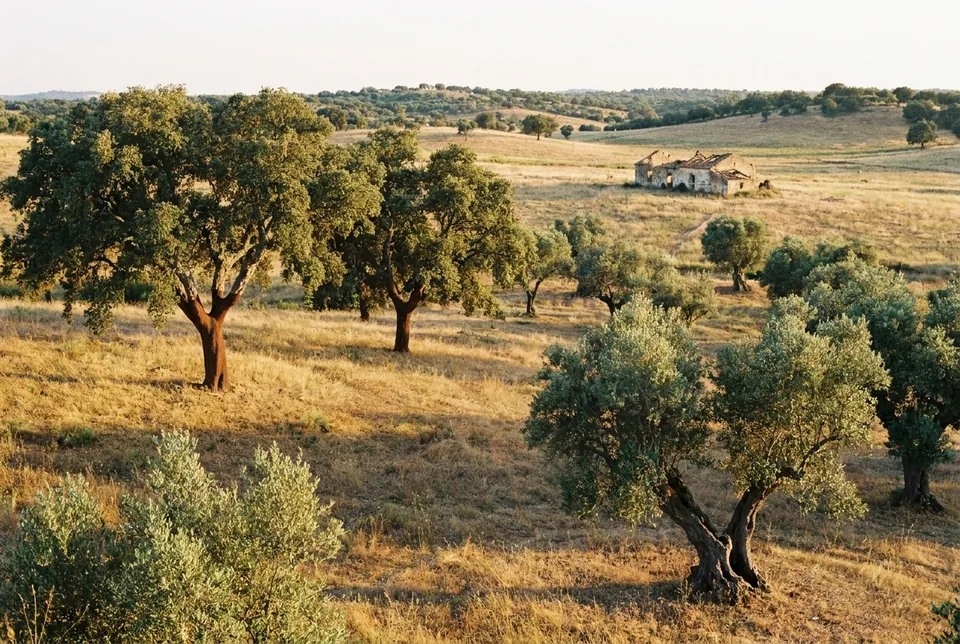 Rural estates